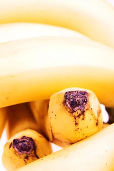 Free Stock Photo of Bananas