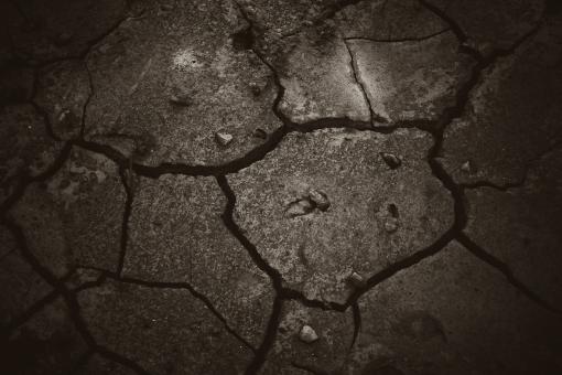Free Stock Photo of Cracked Dark Mud