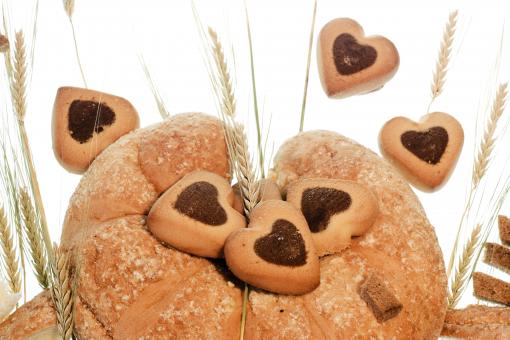 Free Stock Photo of Cookie 