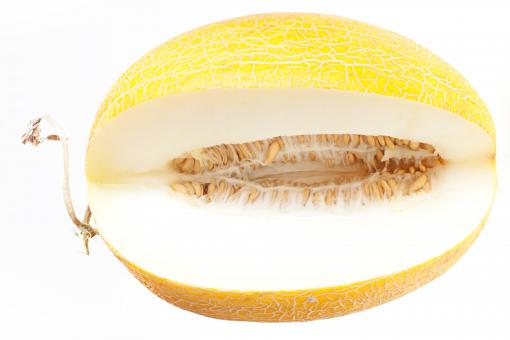 Free Stock Photo of melon