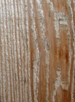 Free Stock Photo of Wood Texture