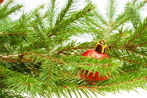 Free Stock Photo of Christmas decoration