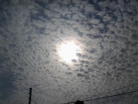 Free Stock Photo of The charm of the sun