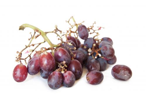 Free Stock Photo of Purple grapes