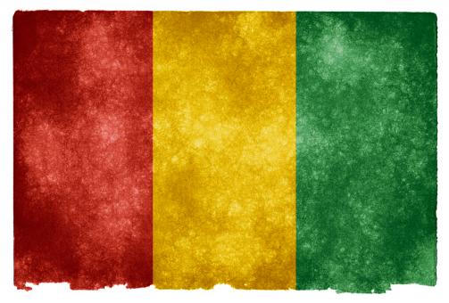 Free Stock Photo of Guinea Grunge Flag