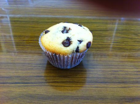 Free Stock Photo of One Choc-chip muffin