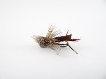 Free Stock Photo of Hopper Dry Fly
