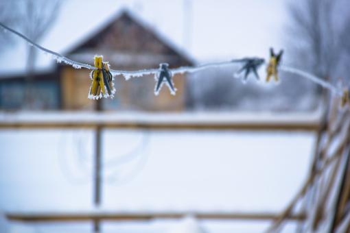 Free Stock Photo of Frozen pegs