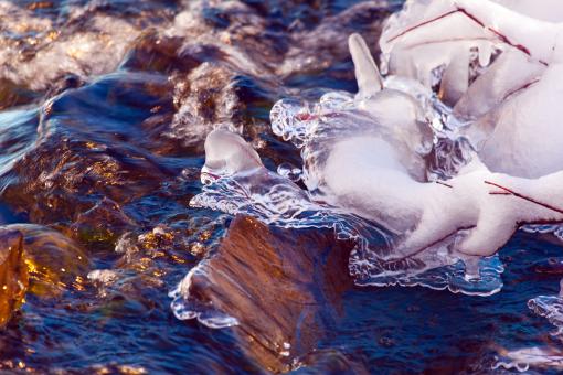 Free Stock Photo of Stream