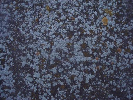 Free Stock Photo of Grunge stone texture