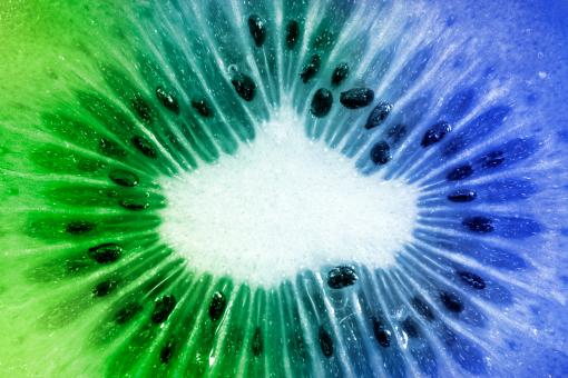 Free Stock Photo of Kiwi Slice Macro - Green & Blue