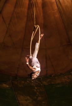 Free Stock Photo of Circus acrobat