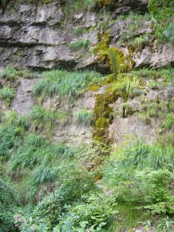 Free Stock Photo of Rocks