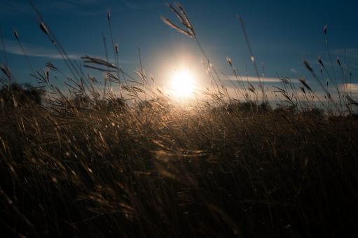 Free Stock Photo of Sunset