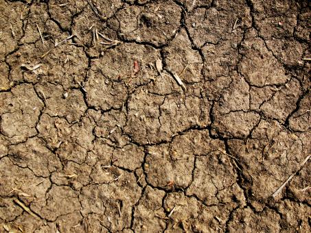 Free Stock Photo of Cracked Mud Texture