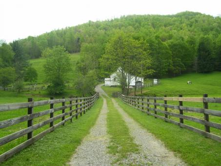 Free Stock Photo of Going To The Chapel