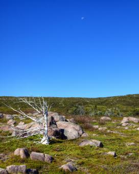 Free Stock Photo of Barren Landscape