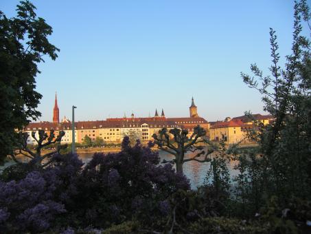 Free Stock Photo of Prague behind bushes
