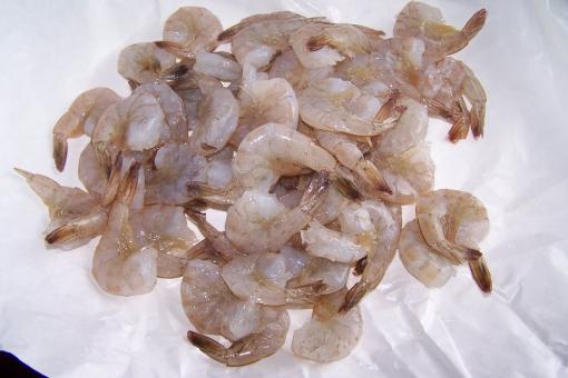 Free Stock Photo of Shrimp