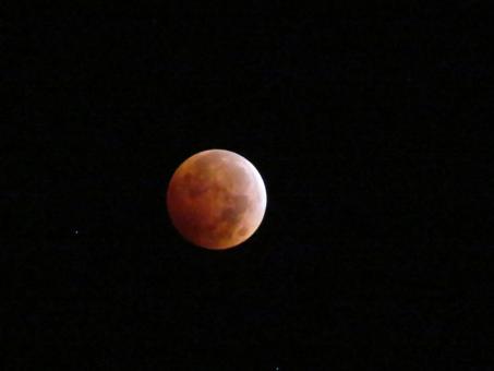 Free Stock Photo of Red Moon