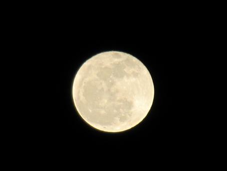 Free Stock Photo of Full moon