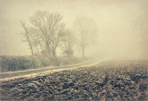 Free Stock Photo of Country Lane 