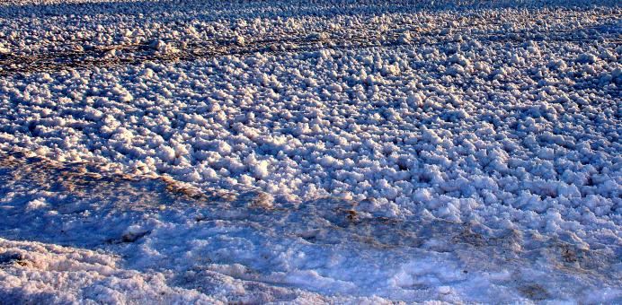 Free Stock Photo of Crust of marine raw salt