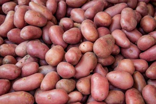 Free Stock Photo of Organic red potato pile sold on market