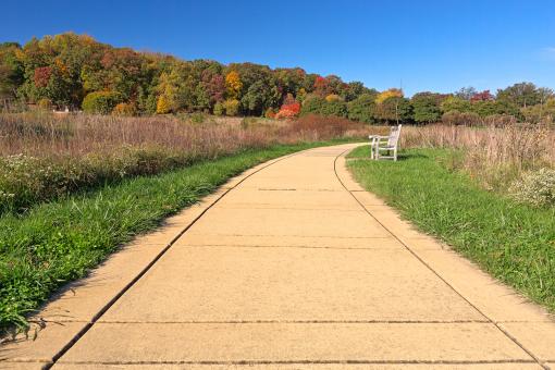 Free Stock Photo of Winding Autumn Arboretum Path - HDR