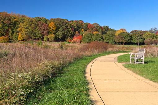 Free Stock Photo of Winding Autumn Arboretum Path - HDR