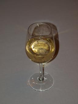 Free Stock Photo of Bubbly drink
