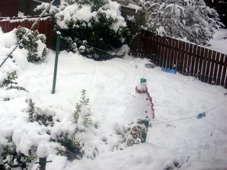 Free Stock Photo of Snowman in a snow-covered garden