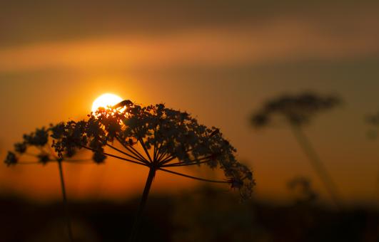 Free Stock Photo of Slight view
