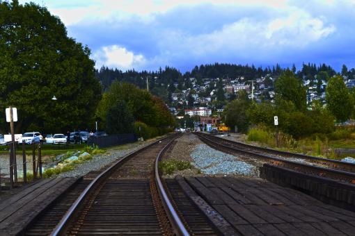 Free Stock Photo of City