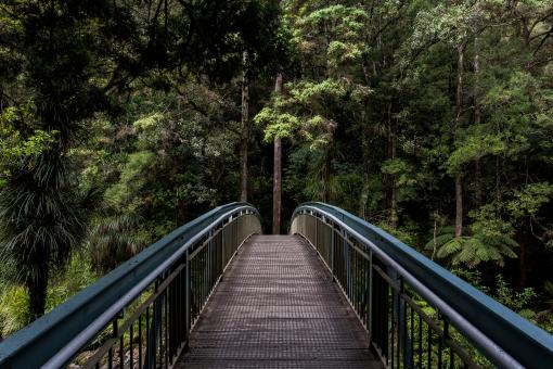 Free Stock Photo of Trip
