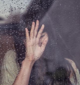 Free Stock Photo of Behind The Window