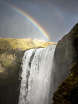 Free Stock Photo of Nature