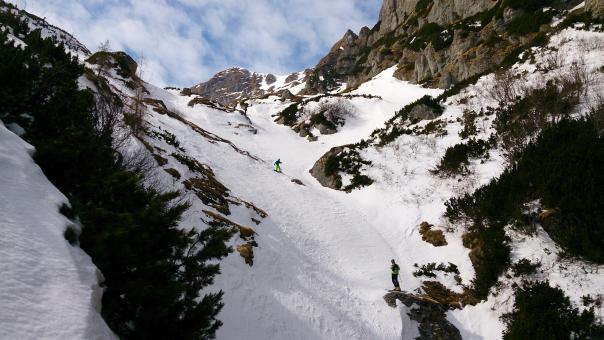 Free Stock Photo of Skiing