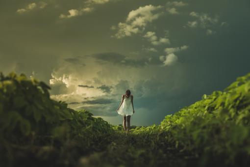 Free Stock Photo of The Perfect Landscape