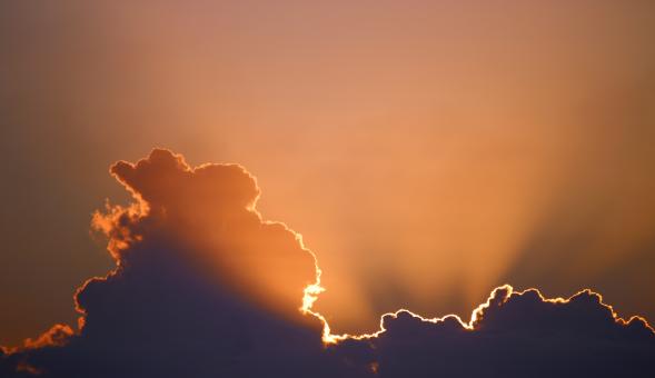 Free Stock Photo of Hidden