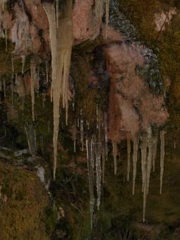 Free Stock Photo of Icicles