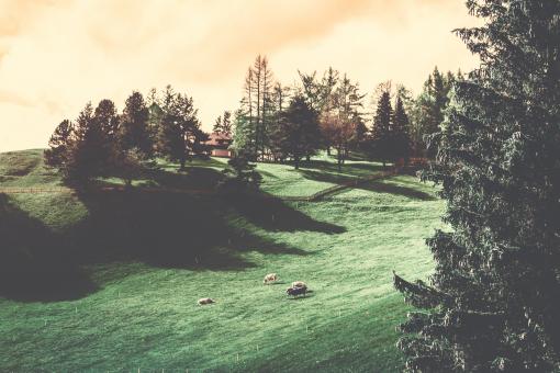 Free Stock Photo of Curvy