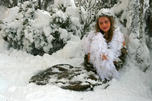 Free Stock Photo of Snowy