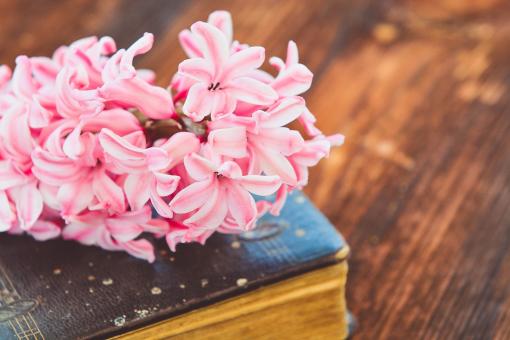 Free Stock Photo of Flowers on the Book