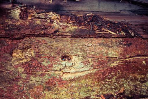 Free Stock Photo of Colorful Grunge Wood Texture