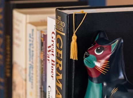 Free Stock Photo of Book Shelf