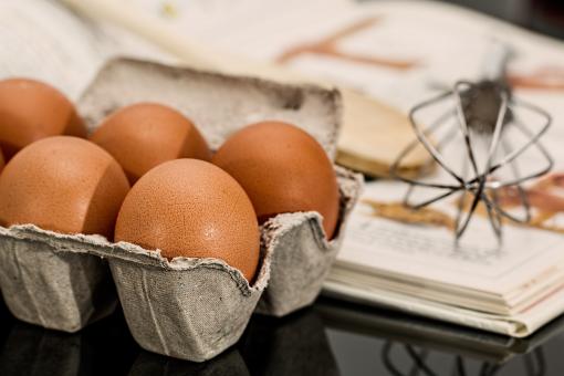 Free Stock Photo of Egg