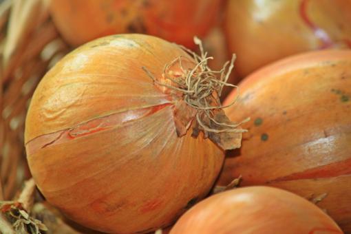 Free Stock Photo of Bucket of Onions
