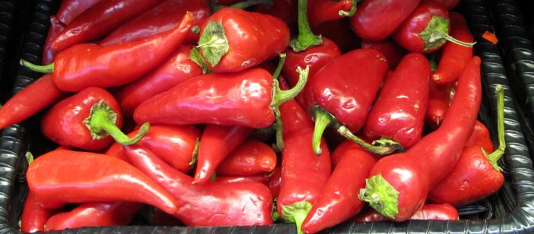Free Stock Photo of Red Chili