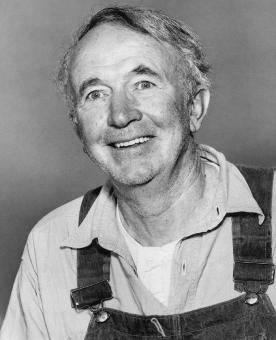 Free Stock Photo of Walter Brennan